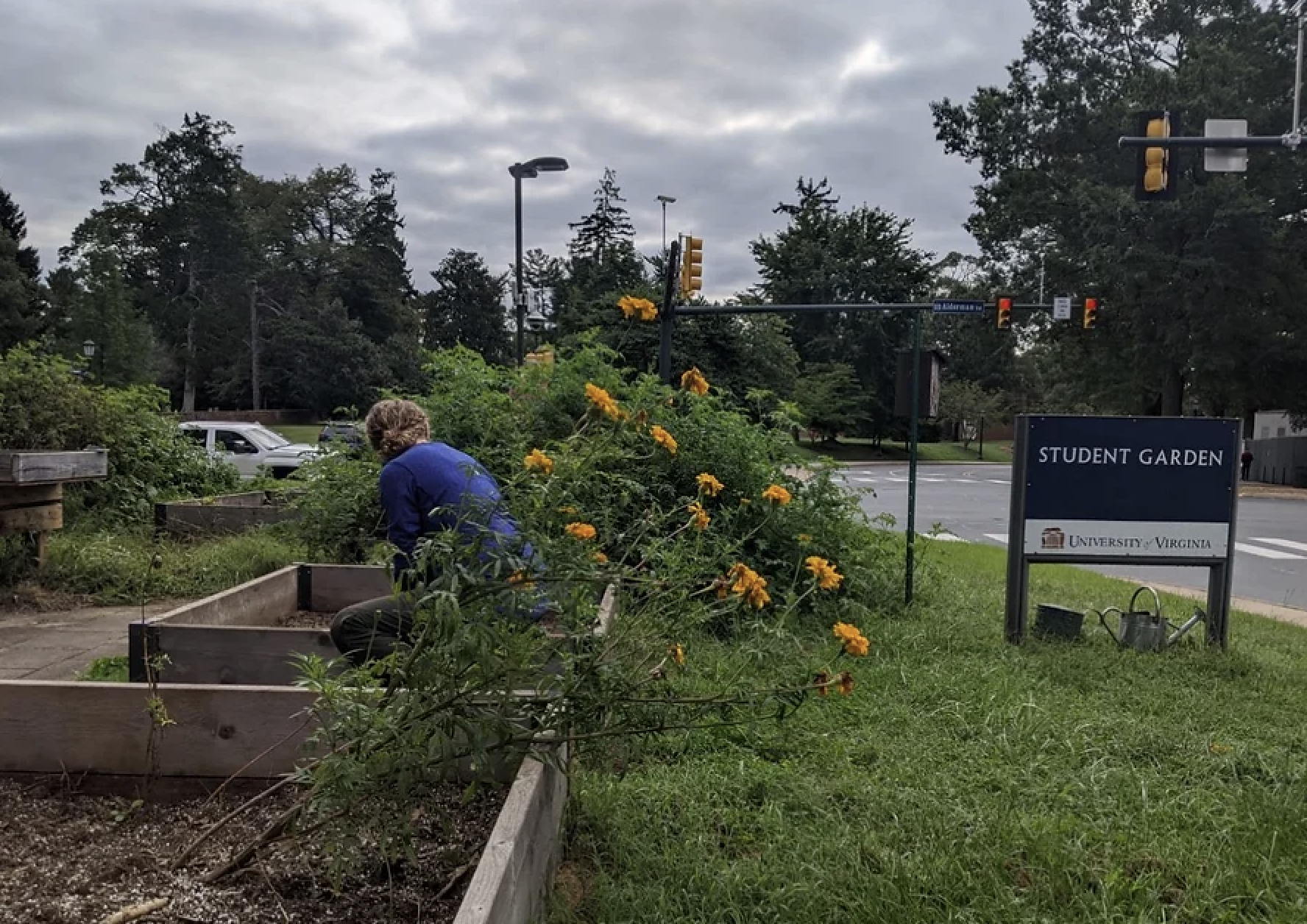 UVA Student Garden