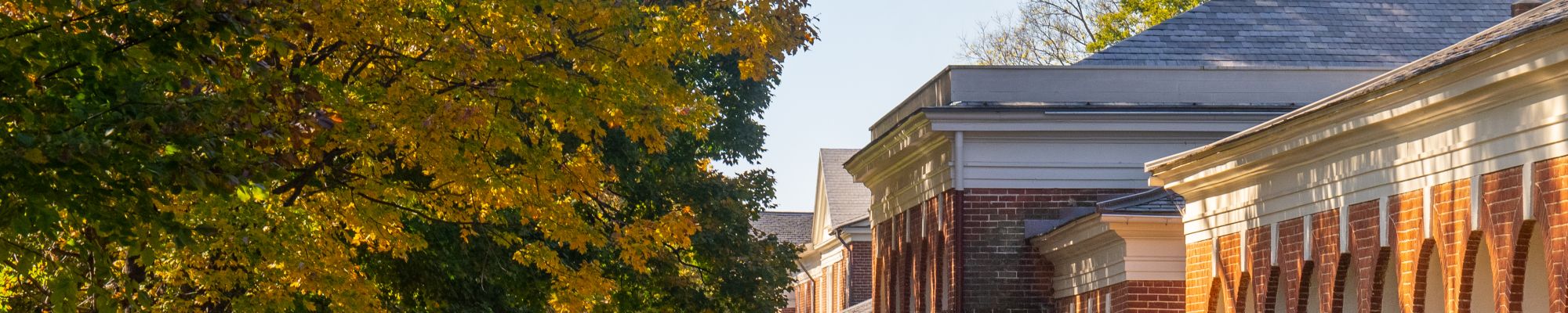 View of Grounds in fall