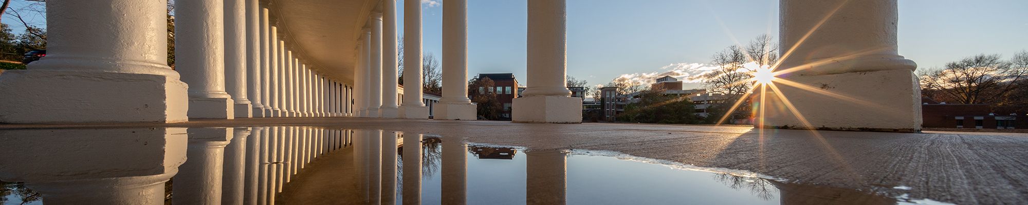 Lambeth field columns