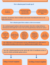 Complete flowchart of the reporting process, including the Evaluation Panel Threat Assessment