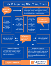 Flowchart showing the who, what, and where of reporting